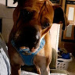 Meet your Posher, Travis